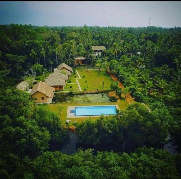 Happy Man Village بينتوتا المظهر الخارجي الصورة