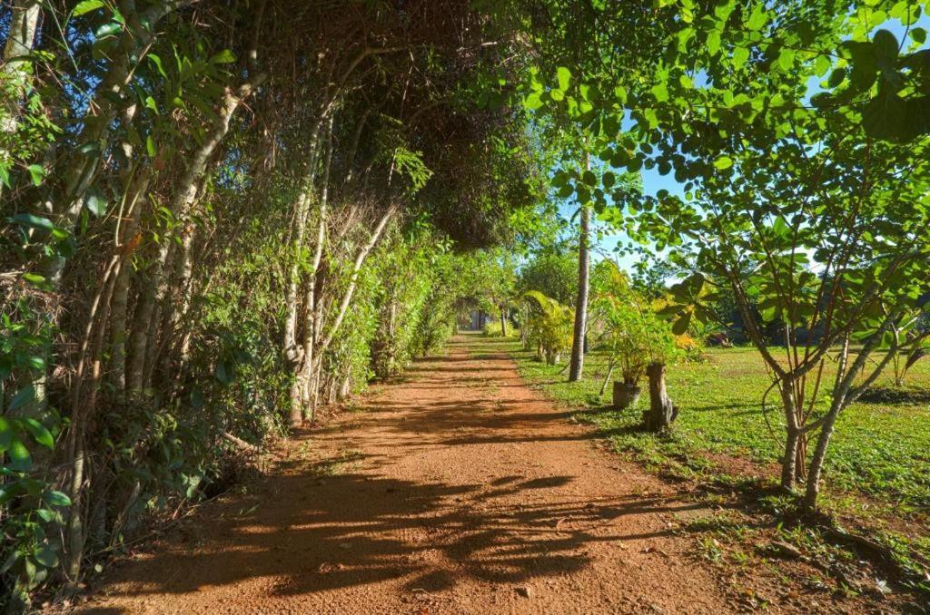 Happy Man Village بينتوتا المظهر الخارجي الصورة