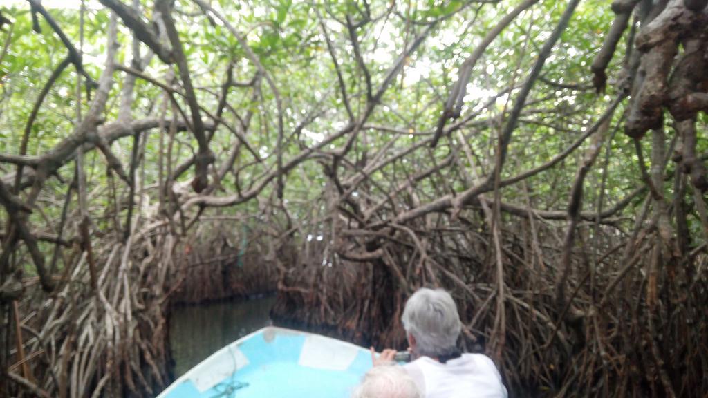 Happy Man Village بينتوتا المظهر الخارجي الصورة